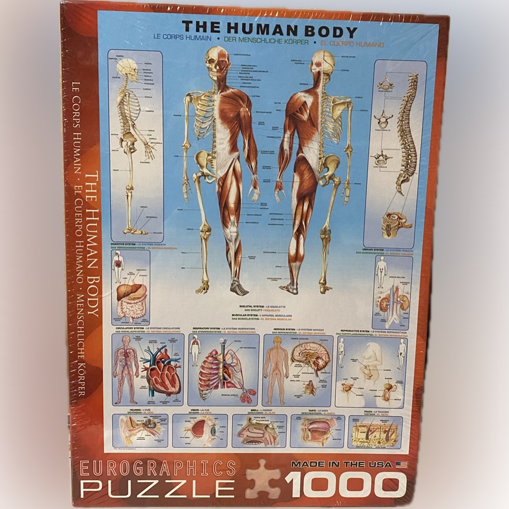 The Human Body Puzzle by Eurographics Puzzles 1000 pieces